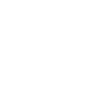 white instagram logo icon
